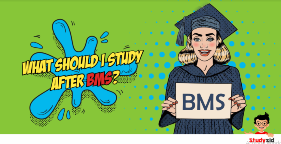 What should i study after BMS?